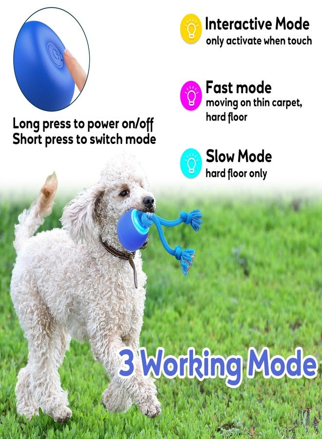 BENTOPAL Interactive Dog Toys to Keep Them Chase Busy Buddy Doggie Ball for Small Puppy(Blue) - Image 4